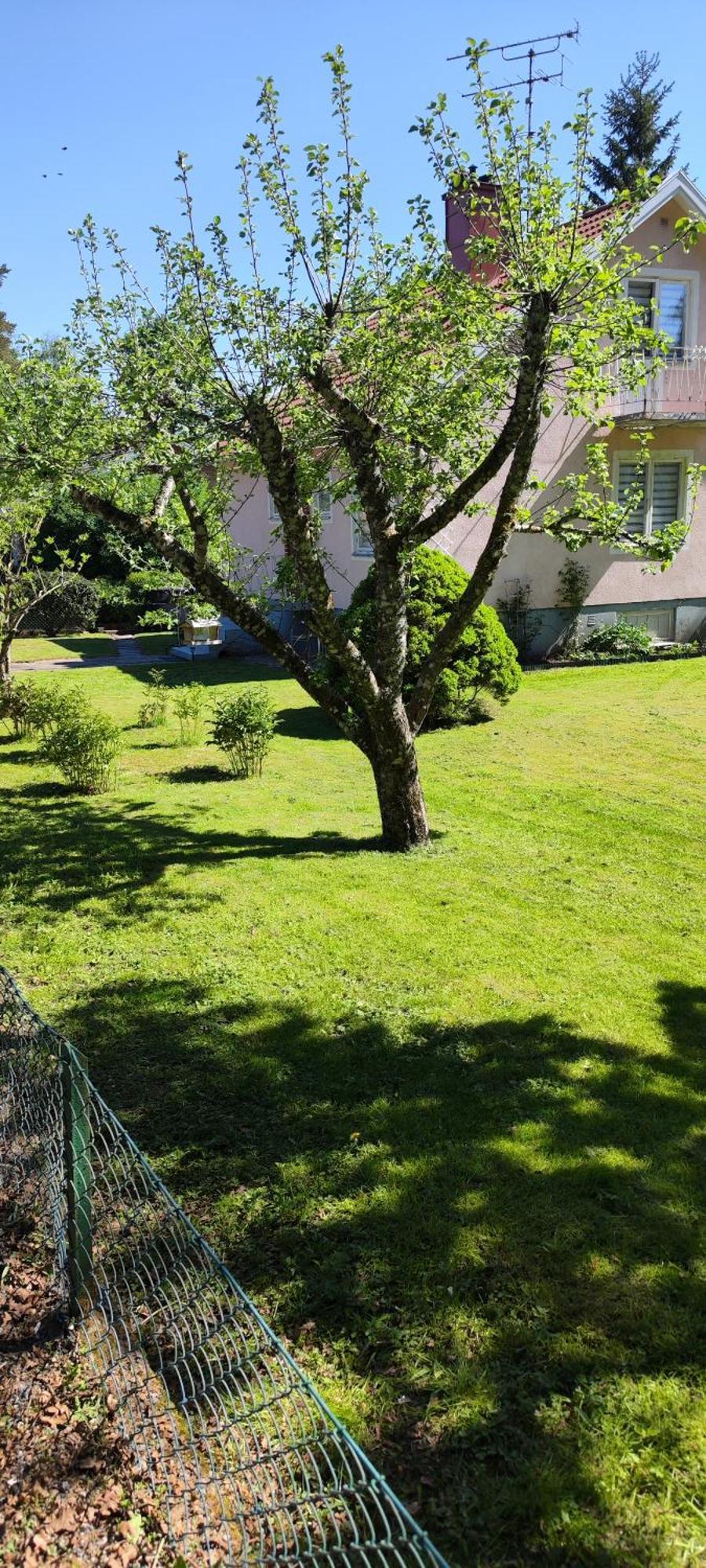 Hela Boendet Uthyres Overlida Exterior photo